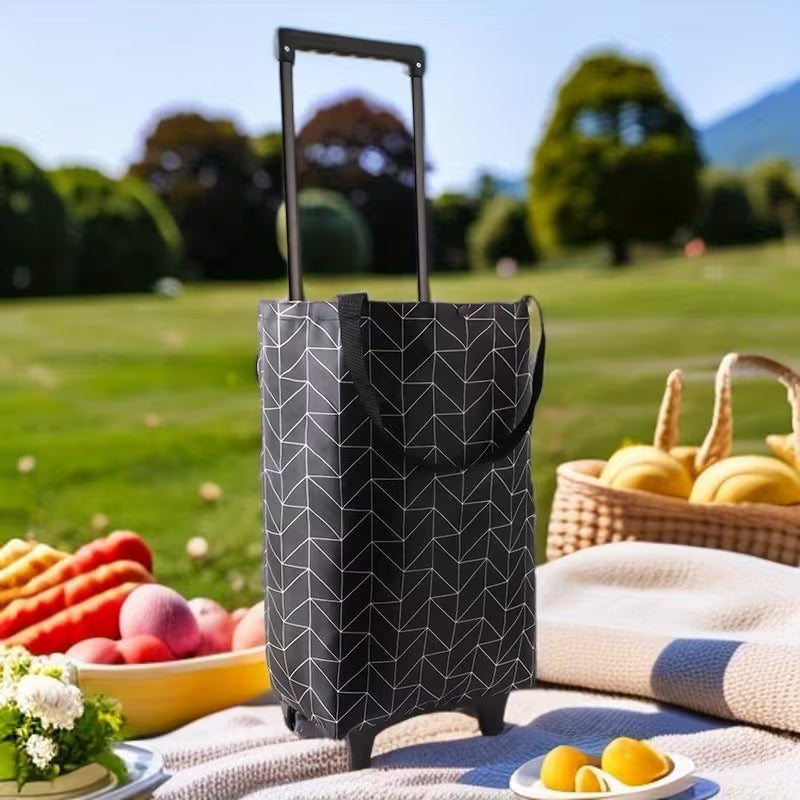 GEANTA CARUCIOR CU ROTI PENTRU CUMPARATURI
