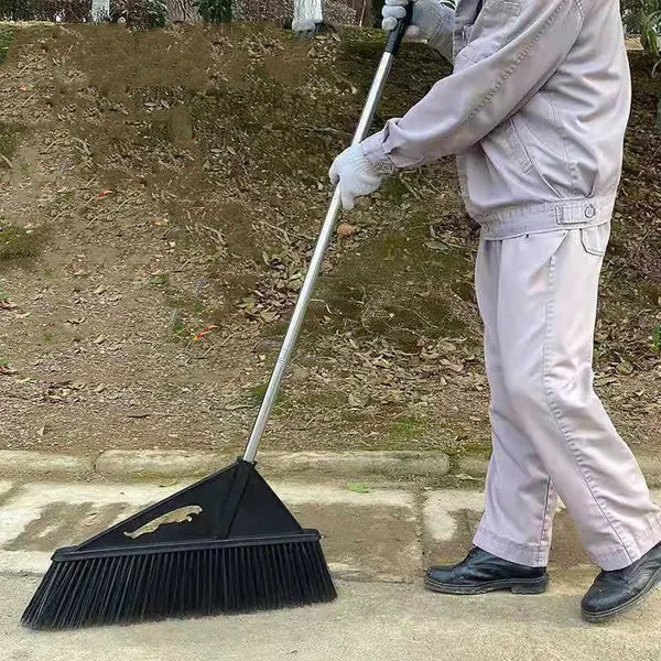 MĂTURĂ URIAȘĂ
